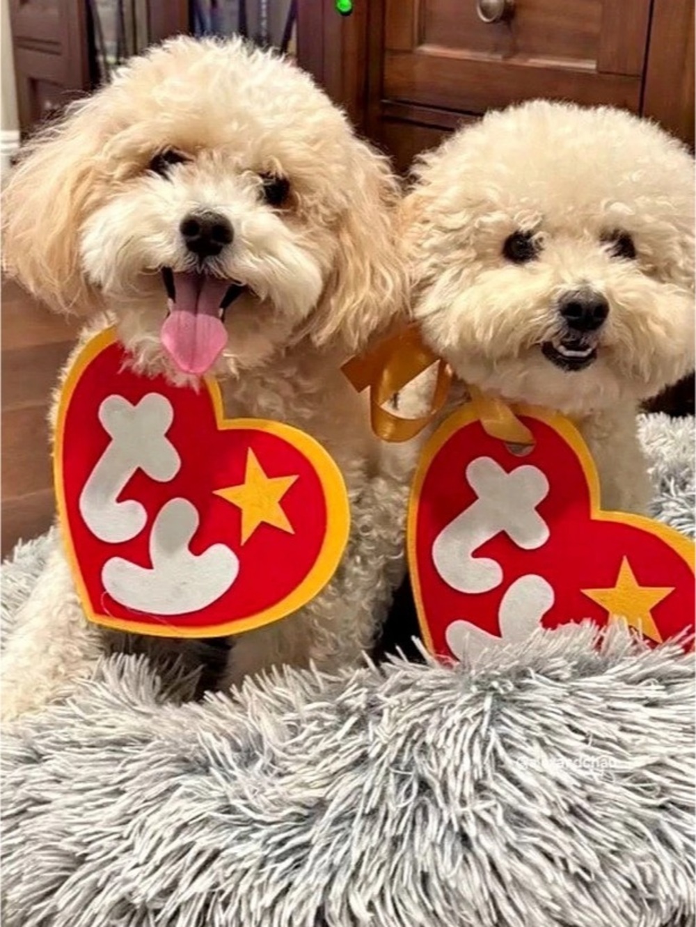 Holiday TY beanie tag Costume